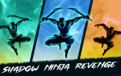 Shadow Ninja Revenge